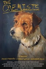 В поисках химии